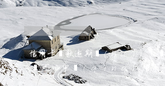 信用卡還款逾期會(huì)怎樣(有過逾期還可以申請(qǐng)信用卡嗎)