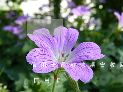 信用卡還款逾期會收回房子(逾期還款后注銷信用卡)