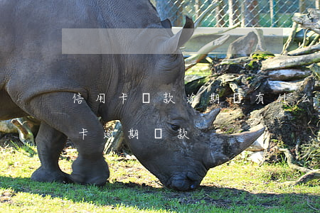 信用卡還款逾期會有什么影響嗎(什么叫信用卡逾期還款)