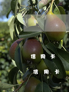 信用卡還款逾期會英雄借唄嗎(借唄逾期影響信用卡)