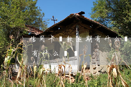 信用卡還款逾期有什么壞處(信用卡還款逾期有什么壞處)