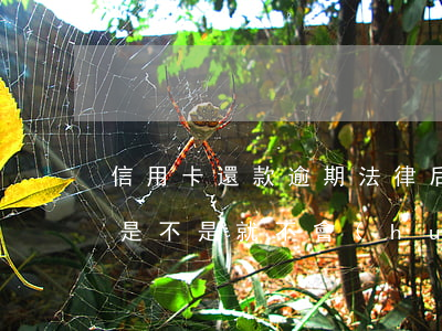 信用卡還款逾期法律后果(信用卡逾期在還款是不是就不會(huì)起訴)