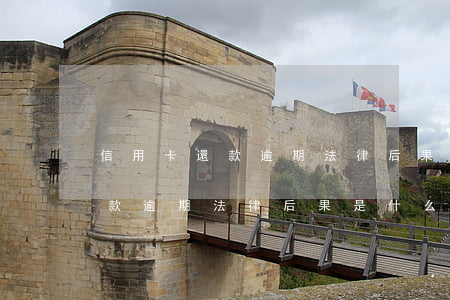 信用卡還款逾期法律后果是什么-信用卡還款逾期法律后果是什么呢