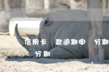信用卡還款逾期申請分期(信用卡逾期可以申請分期償還嗎)