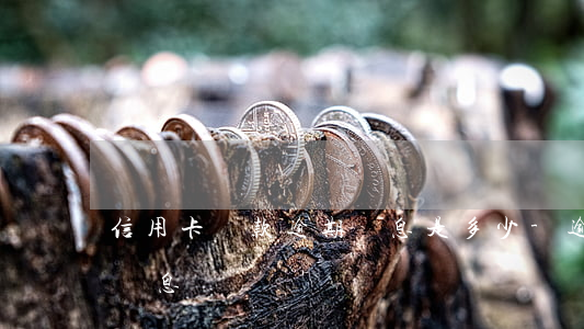 信用卡還款逾期罰息是多少-逾期還款需要罰息嗎