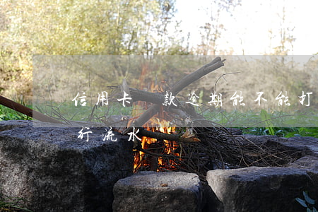 信用卡還款逾期能不能打流水(還信用卡算銀行流水嗎)