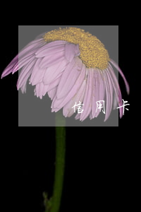 信用卡還款逾期能怎樣