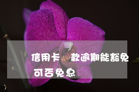 信用卡還款逾期能豁免嗎(因服刑信用卡逾期可否免息)