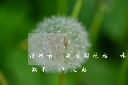 信用卡還款逾期被起訴咋辦(朋友借信用卡逾期不還可以起訴嗎)