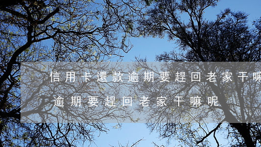 信用卡還款逾期要趕回老家干嘛(信用卡還款逾期要趕回老家干嘛呢)