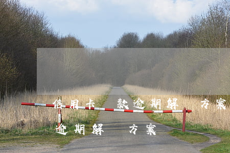 信用卡還款逾期解決方案有哪些（信用卡還款逾期解決方案）