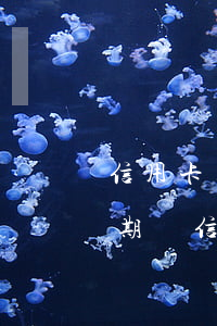 信用卡還款逾期費(fèi)率怎么算的(逾期還信用卡利息怎么算)