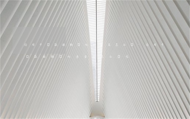 信用卡還款逾期費比本金高怎么辦-信用卡還款逾期費比本金高怎么辦呢