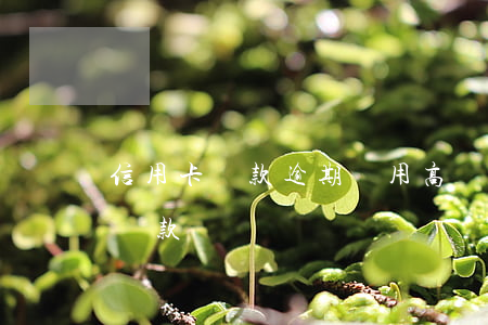 信用卡還款逾期費用高嗎(信用卡逾期過還能貸款嗎)