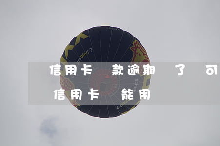 信用卡還款逾期還了還可以再借(逾期還款的信用卡還能用嗎)