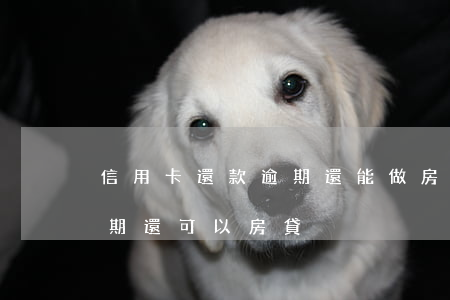 信用卡還款逾期還能做房貸嗎(之前房貸有逾期,還可以房貸?)