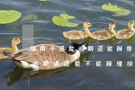 信用卡還款逾期還能辦房貸(我以前有信用卡,逾期過還能不能辦理按揭)