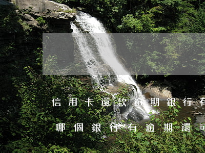 信用卡還款逾期銀行有什么規(guī)定(哪個銀行有逾期還可以申請信用卡)