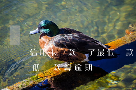 信用卡還款還了最低還款算逾期 還信用卡最低還款算逾期嗎