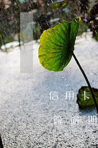 信用卡還款還剩幾百算逾期嗎(還信用卡怎么算逾期)