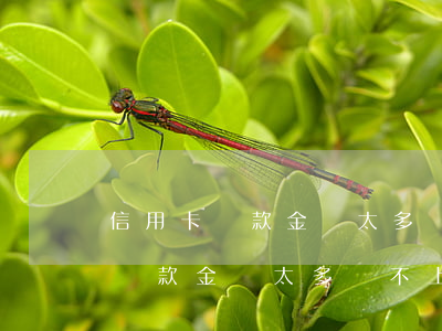 信用卡還款金額太多還不上怎么辦-信用卡還款金額太多還不上怎么辦呢
