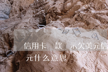 信用卡還款顯示欠美元(信用卡還款顯示欠美元什么意思)