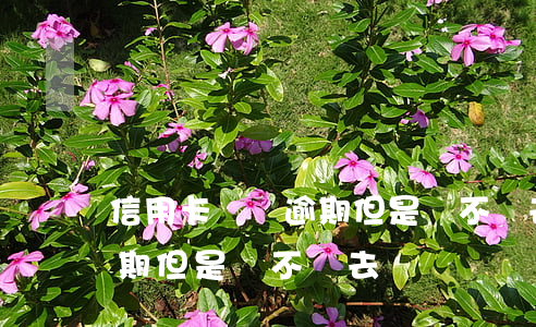 信用卡還沒逾期但是還不進去(信用卡還沒逾期但是還不進去)