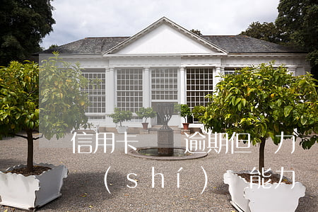 信用卡還沒逾期,但無力還款(欠信用卡逾期確實(shí)沒能力還怎么辦)
