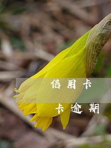 信用卡還清沒逾期還可以車貸嗎 以前有信用卡逾期,還清后一年多時間了,能辦理車貸嗎?