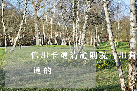 信用卡還清逾期就沒用(有沒有信用卡逾期沒還的)