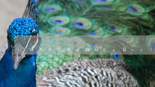 信用卡還清逾期當(dāng)月賬單(上個月賬單逾期怎么還款)