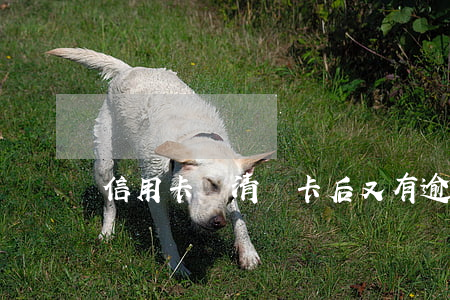 信用卡還清銷卡后又有逾期