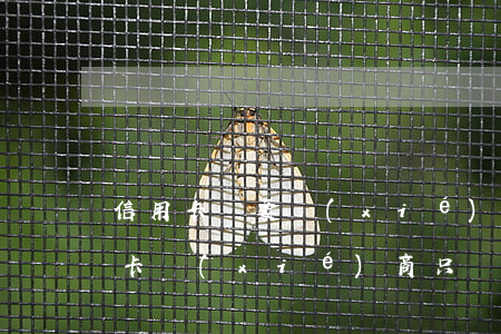 信用卡還要協(xié)商還嗎(可以和信用卡協(xié)商只還本金嗎)