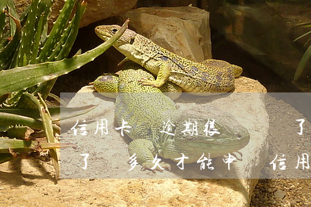信用卡還逾期很長時間了怎么辦(逾期過還清了過多久才能申請信用卡)
