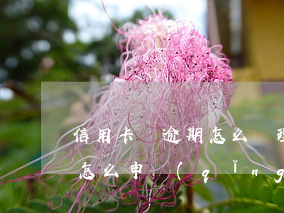 信用卡還逾期怎么處理(有過(guò)逾期怎么申請(qǐng)信用卡)