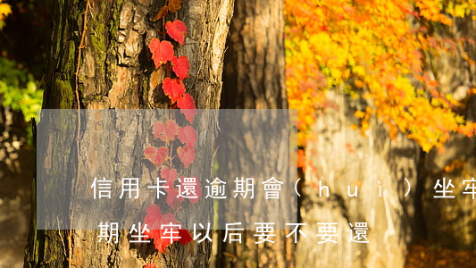 信用卡還逾期會(huì)坐牢嗎(信用卡逾期坐牢以后要不要還)