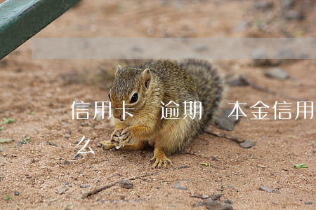 信用卡還逾期還本金 信用卡還逾期還本金怎么還