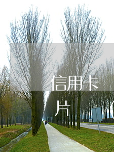 信用卡還過還顯示逾期(信用卡逾期還款后卡片狀態(tài)異常)