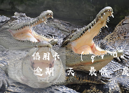信用卡還錢(qián)不夠最低算逾期嗎(逾期幾天還最低額度信用卡還能用嗎)