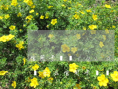 信用卡還錢(qián)逾期會(huì)鎖死么(信用卡還錢(qián)逾期會(huì)鎖死么)