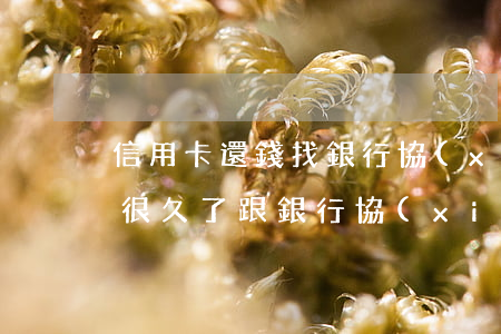 信用卡還錢找銀行協(xié)商(欠信用卡很久了跟銀行協(xié)商,客服讓我還一部分就可以了)