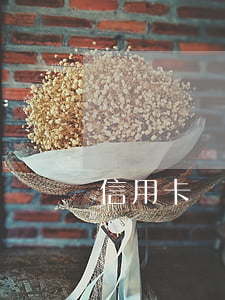 信用卡還錢是先還逾期的嗎