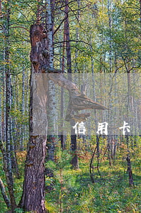 信用卡還錯(cuò)卡片逾期(“信用卡逾期”)