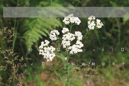 信用卡還錯(cuò)賬號(hào)導(dǎo)致逾期(信用卡還錯(cuò)賬號(hào)導(dǎo)致逾期怎么辦)