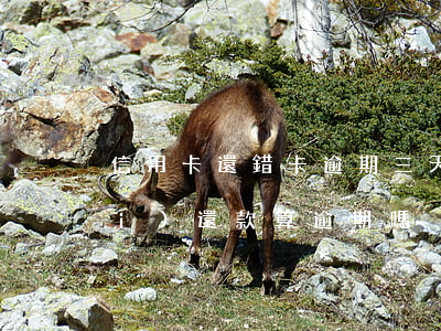 信用卡還錯卡逾期三天(信用卡3天內(nèi)還款算逾期嗎)