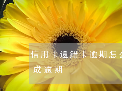 信用卡還錯卡逾期怎么辦(信用卡還錯卡了造成逾期)