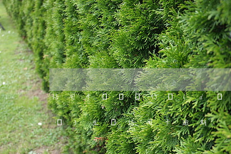 信用卡還錯銀行導(dǎo)致逾期 發(fā)生過信用卡逾期