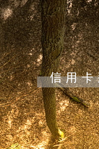 信用卡那么多逾期的都會(huì)起訴嗎