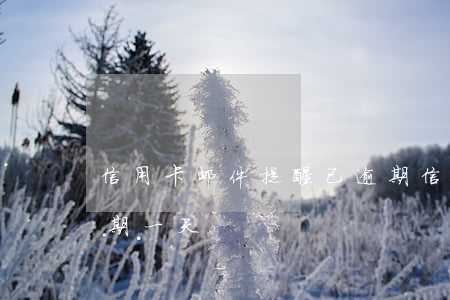 信用卡邮件提醒已逾期(信用卡邮件提醒已逾期一天)