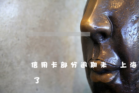 信用卡部分逾期未還上海(沒注意信用卡逾期了)